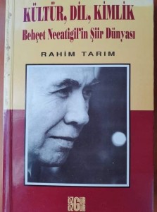 Kultur Kimlik Necatigil książka w języku tureckim